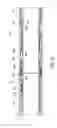 Fig. 08 - Shear thickening fluid controlled tool