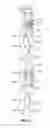 Fig. 11 - Method and device for measuring pressure exerted by earth material