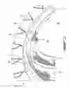 Fig. 03 - Method of balancing a gas turbine engine rotor