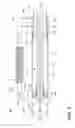 Fig. 04 - Separator assembly for a gas turbine engine