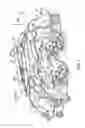 Fig. 03 - Engine intake manifold having a condensate-containment tray