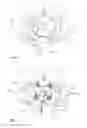 Fig. 06 - Peristaltic pump having reduced pulsation and use of the peristaltic pump