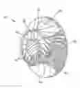 Fig. 01 - COMPRESSOR IMPELLERS