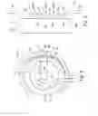 Fig. 03 - Spring retainer including rivets for driving springs in a torque converter damper