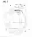 Fig. 03 - Lubricating structure for speed reducer