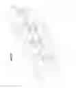 Fig. 28 - In-pipe moving apparatus