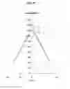 Fig. 11 - Lens, light emitting apparatus including the lens, and backlight unit including the apparatus