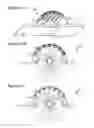 Fig. 08 - Solid-state luminaire with electronically adjustable light beam distribution