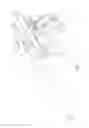 Fig. 02 - AIR-CHANNEL STRUCTURE OF PAINTBALL GUN