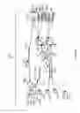 Fig. 14 - Associated interferometers using multi-fiber optic delay lines