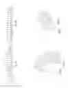 Fig. 07 - All-optical pressure sensor