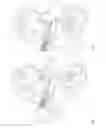Fig. 04 - Micromanipulator for a cryomicrotome