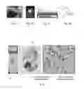 Fig. 02 - Method of forming a stain assessment target
