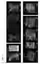 Fig. 03 - Methods for phenotyping of intact whole tissues