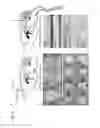 Fig. 06 - Methods for phenotyping of intact whole tissues
