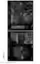 Fig. 10 - Methods for phenotyping of intact whole tissues