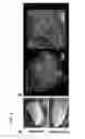 Fig. 16 - Methods for phenotyping of intact whole tissues