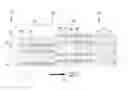 Fig. 03 - Combined sorting and concentrating particles in a microfluidic device