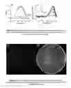 Fig. 03 - PLASMONIC HYDROGEN DETECTION