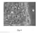 Fig. 04 - Surface Enhanced Raman Scattering (SERS) sensor and a method for production thereof