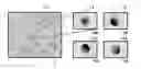 Fig. 01 - Computational wafer inspection filter design