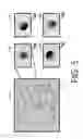 Fig. 06 - Computational wafer inspection filter design