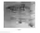 Fig. 03 - Method of inspecting a part using a marking template for radiography
