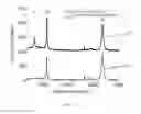 Fig. 05 - Opioid detection based on high quality graphene transistor arrays and a synthetic mu receptor