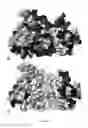 Fig. 13 - Opioid detection based on high quality graphene transistor arrays and a synthetic mu receptor