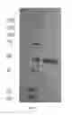 Fig. 25 - Opioid detection based on high quality graphene transistor arrays and a synthetic mu receptor