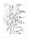 Fig. 18 - Disease detection system and method