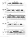Fig. 10 - Ammonia Nanosensors, and Environmental Control System