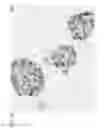 Fig. 11 - METHOD FOR PREPARING THREE-DIMENSIONAL, ORGANOTYPIC CELL CULTURES AND USES THEREOF