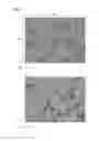 Fig. 08 - Device and method for detecting an analyte