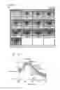 Fig. 27 - Device and method for detecting an analyte