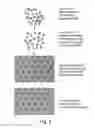 Fig. 05 - METHODS, MATERIALS, AND KITS FOR COVALENTLY ASSOCIATING MOLECULAR SPECIES WITH A SURFACE OF AN OBJECT