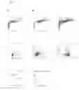 Fig. 06 - MULTICOLOR FLOW CYTOMETRY METHOD FOR IDENTIFYING A POPULATION OF CELLS, IN PARTICULAR MESENCHYMAL STEM CELLS