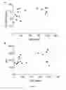 Fig. 02 - METHODS FOR ASSAYING JAK2 ACTIVITY IN RED BLOOD CELLS AND USES THEREOF