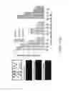 Fig. 07 - Method of traceless labeling glycoproteins on surface and application thereof