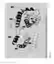 Fig. 05 - Method for assessing protein identity and stability