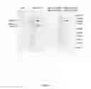 Fig. 03 - Collagen Type X Alpha-1 Assay