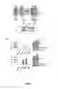 Fig. 02 - Detection of protein to protein interactions