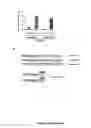 Fig. 05 - Detection of protein to protein interactions