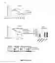 Fig. 13 - Detection of protein to protein interactions