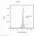 Fig. 08 - Multiphase systems for diagnosis of sickle cell disease