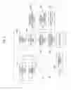 Fig. 03 - SIGNAL PROCESSING SYSTEM, SIGNAL PROCESSING METHOD, AND SIGNAL PROCESSING PROGRAM
