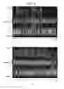 Fig. 08 - Radar apparatus, method for inspecting axis deviation thereof, and computer-readable recording medium with program recorded thereon