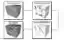 Fig. 01 - Processing of seismic data