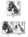 Fig. 04 - Processing of seismic data