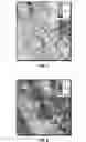 Fig. 05 - Processing of seismic data